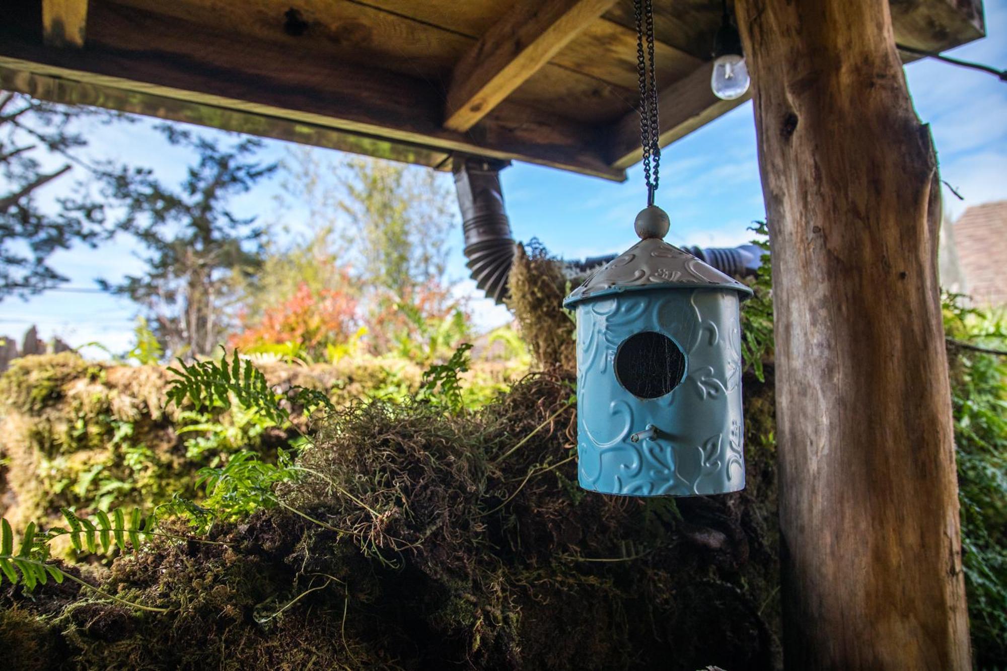 The Front Porch Hidden Oasis Hotel Arcata Exterior foto